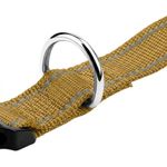 Generic Adjustable Pet Collar & Leash Set - 2Pcs Reflective Nylon Night Safety Dog Rope (Khaki XL) - image 3