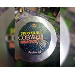 Cobwebs Removal soap 