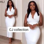 Ladies Beautiful Party  Gown