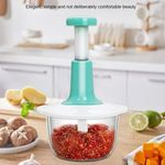 Multifunctional Hand-pat Food/vegetable Chopper. 