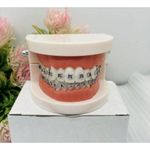 product_image_name-Generic-Miami Unisex Teeth Braces _Fashion/Dental Care Tool -2