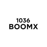 Generic  BoomBest 1036 BoomX Wireless Bluetooth Speaker, 50W Dual Drivers, Deep Bass, USB/FM/AUX/TF, Portable Party Sound System - image 3