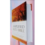 Generic Amplified Bible Compact, References, Double-Column, Bible Text, Footnotes By Zondervan - image 7