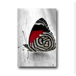 product_image_name-Generic-Butterfly Canvas Art Framed – Modern Wall Decor for Living Room, Bedroom & Office-1