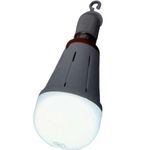 Akt reachable bulb 