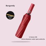 Fashion Automatic umbrella with sun shield and uv protection - image 2