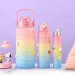 3in1 3D Sticker Motivational Drinkware Straw Water Bottle