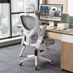 Generic Ergonomic Office chair