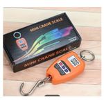 product_image_name-Generic-200kg Hand Crane Digital scale (Original)-1