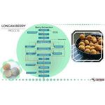 product_image_name-Lost Empire Herbs-Longan Berry 100 Grams High Nutrient + Antioxidant Content & Anti-Aging-4