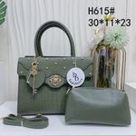 Ladies Everything Classy Ladies Hand Bag