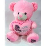 55cm teddy bear with heart