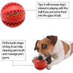 product_image_name-TD-Dog & Cat Ball Rubber Interactive Treat Bite Chew Toy-2