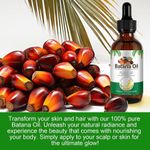 product_image_name-Generic-60ML Sky Organics RAW & UNREFINED BATANA OIL, Pure, from Honduras, to Support Scalp & Stronger Fuller-Looking Hair, Intensive Hair Conditioning & Hair Repair Mask-2