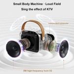 Generic Outdoor home portable wireless Bluetooth microphone smart speaker -2 microphones - image 4