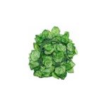 product_image_name-Generic-Artificial Creepers Green Vines Ivy Money Plant Leaves For Decoration Garlands-5