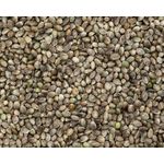 product_image_name-Hemp-Hempseed Seed-2