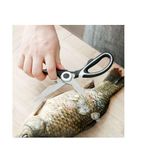 Kitchen Scissors