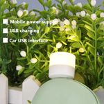 Generic 12PCS Night Light, LED Mini Light Bulb for Bedroom, Bathroom - image 6