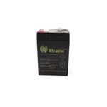 6V 5Ah Weisheng Rechargeable battery