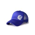 Nice Designers Baseball/Face Cap Unisex BLUE