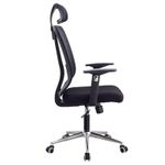 Dious High Back Ergonomic Mesh Office Chair with Headrest & Lumbar Support - image 3