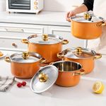 Generic Home Kitchen Cookware Set - 10-Piece Basic Stainless Steel Set, Suitable for Gas and Electric Stoves - Orange