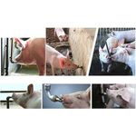Generic 20pcs Stainless Steel Automatic Pig Nipple Drinker - image 3