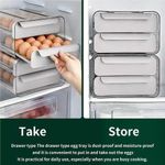 Generic Double Layer Egg Container/Rack - image 2