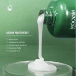 product_image_name-Generic-Tea Tree Hair Rescue HAIR Shampoo, Fast Hair Growth & Dandruff Defense SHAMPOO, Tea Tree Pure Roots Shampoo, Anti-Dandruff & Oil Control for Strong Hair, Tea Tree Max Hair Therapy, Growth Boost, Scalp Cleanse Formula  SHAMPOO-3