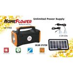 Homeflower Portable Solar Lighting Kit with panel