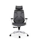 product_image_name-Generic-Executive Ergonomic Mesh Office Chair For Extra Comfort-4