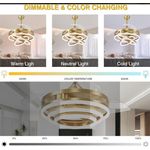 Generic Drop light, dropping light, celling fitting, chandelier - image 3