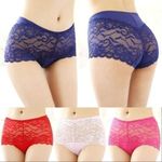Open Net Panties 6pcs