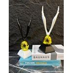 product_image_name-Generic-GOLDEN EGGS-1