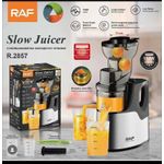 RAF R.2857 Slow Juicer with Stainless Steel Filter
