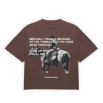 product_image_name-Favtom-Classic : Strain-1