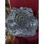 Generic USA  Advanced 30W Bluetooth Rock Speaker with Deep Bass & Wireless Connectivity ( water Resistant)