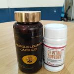 NORLAND Norland GI Vital SoftGel & Propolis Lecithin- Ulcer Solution