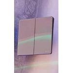 2-Gang Large Panel Light Switch (Brushed Metallic Finish)
