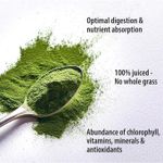 product_image_name-Organic Traditions-Organic Wheat Grass Juice Powder 150g-2