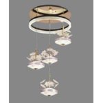 Chandelier Ceiling Lights, Ceiling Led Lamp