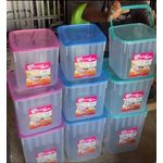 Storer plastic food containers. 