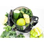 Buchymix Professional Automatic Cold-Press Batch Juicer With A Powerful AC Motor - (BJ20) - image 2