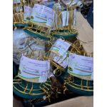 product_image_name-Genetic-6 HOLDER GOLD PLATED GLASSWEAR RACK -2