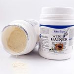 Wins Town Weight Gainer Powder - 1lb (450g)