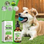 product_image_name-YEGBONG-Antibi*tic for Dogs and Cats, All Pet Antibi*tics Drop Natural Antibi*tics for Itchy Skin Relief, Supports Allergy Relief, Boost Immune and Promote Digestion and Animal Dietary Supplement, For Dog, Cats and Pets Antibi*tics for Skin Infection 60ml-1
