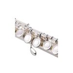 product_image_name-Generic-English Side Flute-2