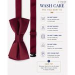 PABANI Pabani Executive Classic Wine Red Mens Bow Tie For Receptions - image 5
