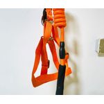 Nunbell Foam handle Nylon harness n lead set for medium/semi large dog(XL) - image 2